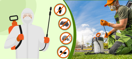 Emergency Pest Control Highton